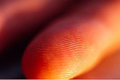 《东京地下杀手》或今夏发布 制作组发布招聘广纳贤才